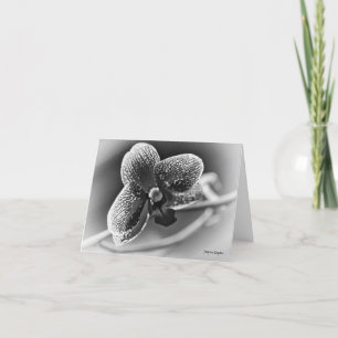 Elegante tarjeta de protección de orquídeas, blanc