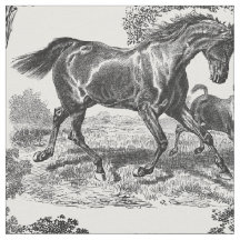 Elegante tela de caballos Rústicos Blancos