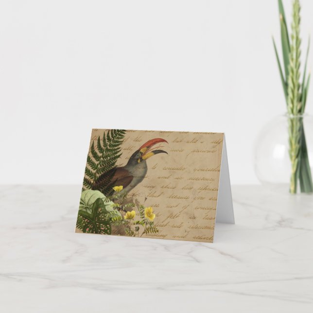 Elegante Tropical (Anverso)