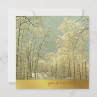 Elegante Winter Wonderland, invitaciones a navidad