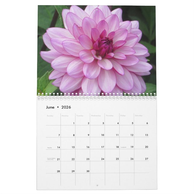 Elegante y colorido calendario botánico de Dahlias (Jun 2026)