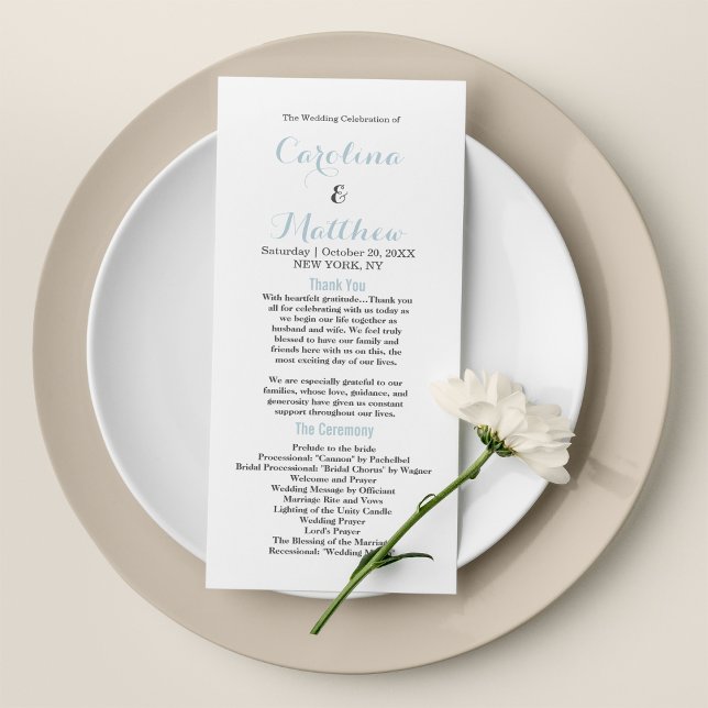 Elegante y elegante programa moderno en azul paste (Simple elegant white pastel blue modern Program)