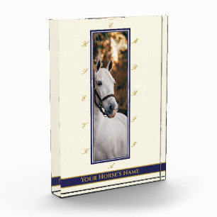 Elegante y personalizada foto de caballo de la Are