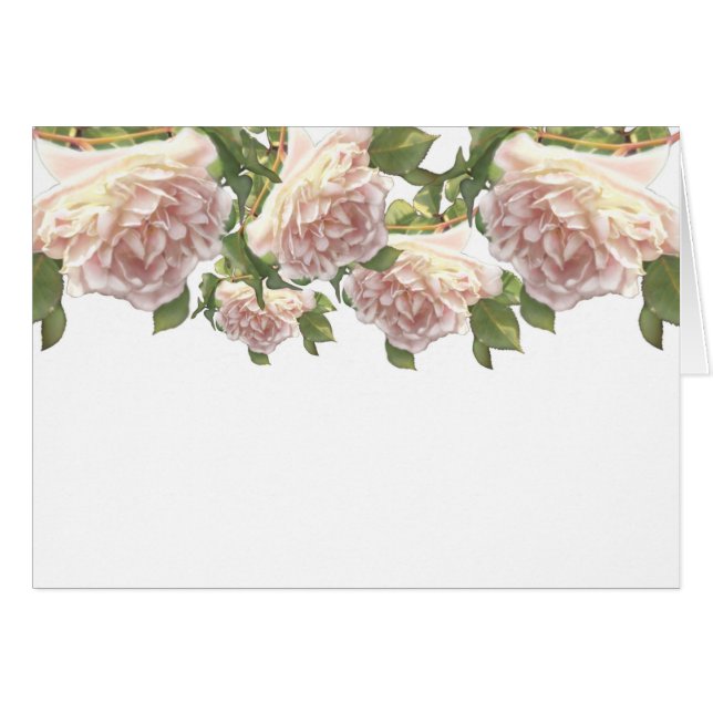 Elegante y polvoriento rosa naranja floral blanco (Anverso (Horizontal))