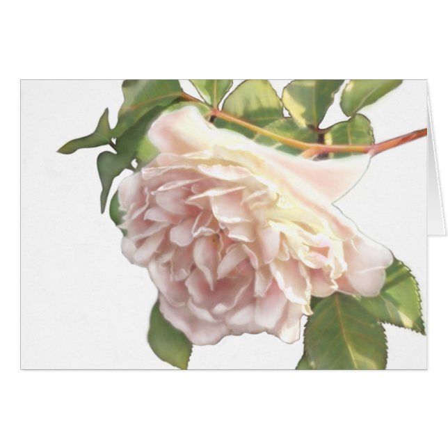 Elegante y polvoriento rosa naranja floral blanco (Anverso (Horizontal))