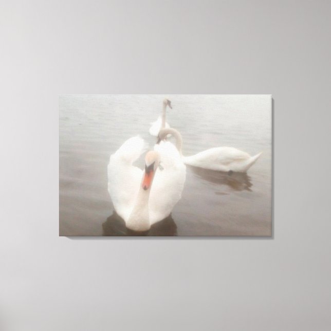 Elegantes Acuarelas Modernas Arte Cisnes En El Dan (Anverso)