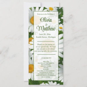 Elegantes daisies blancos campos florales blancos