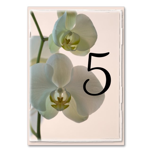 Elegantes números de mesa de orquídeas blancas (Anverso)