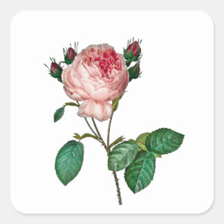 Elegantes pegatinas rosados