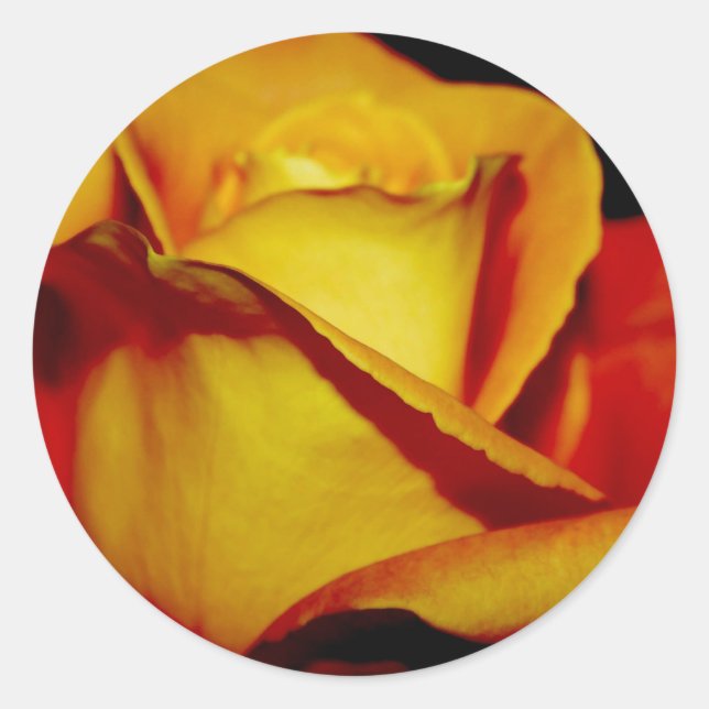 Elegantes Sellos para sobres y pegatinas de Bodas  (Anverso)