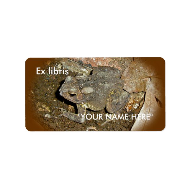 Elementos de coordinación de toad ex Pegatinas lib (Frente)