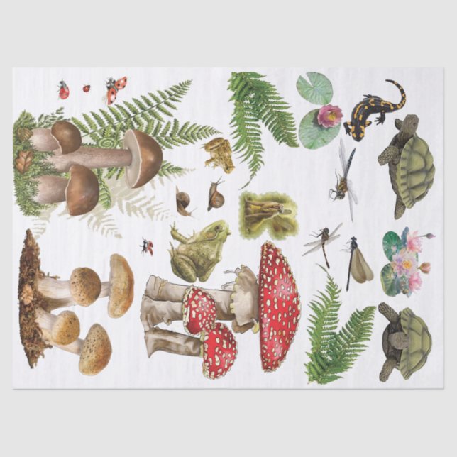 Elementos de madera de papel de descomposición de  (Anverso)