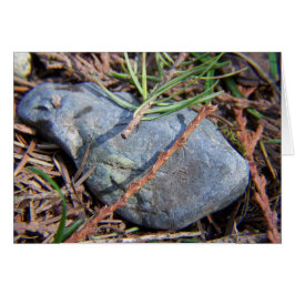 Elementos de naturas