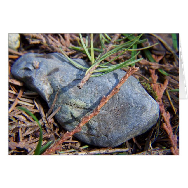 Elementos de naturas (Anverso (Horizontal))