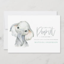 Elephant lindo niño pequeño fiesta virtual de duch