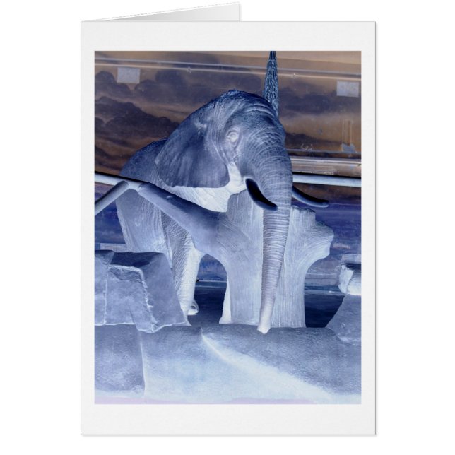 Elephant Pop Art (Frente)