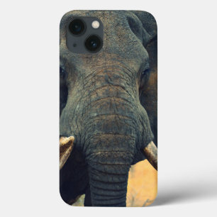 Elephant Wild Close Up iPad Mini funda