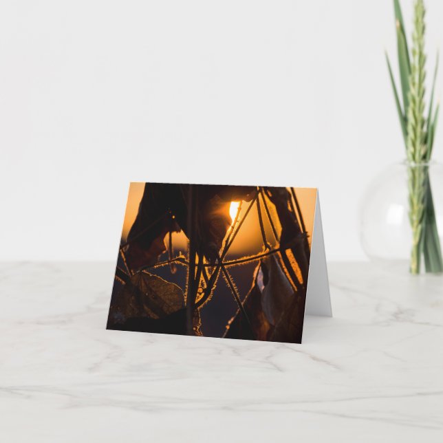 Elevación de nieve (Anverso)