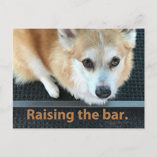 Elevar la tarjeta postal del bar Corgi (Anverso)