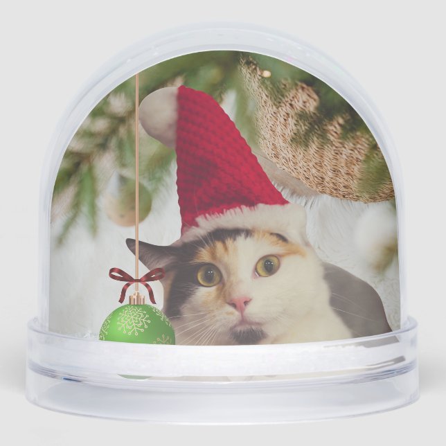 Elf Cat Merry Christmas (Anverso)