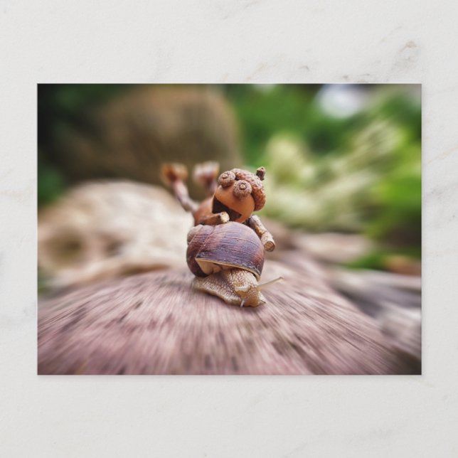 Elfo de Acorn en la postal del caracol (Anverso)