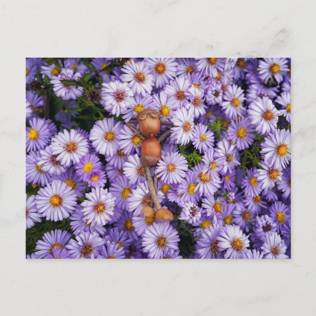 Elfo de maíz en la postal de las flores (Anverso)