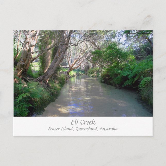 Eli Creek, isla Fraser, Australia - postal (Anverso)