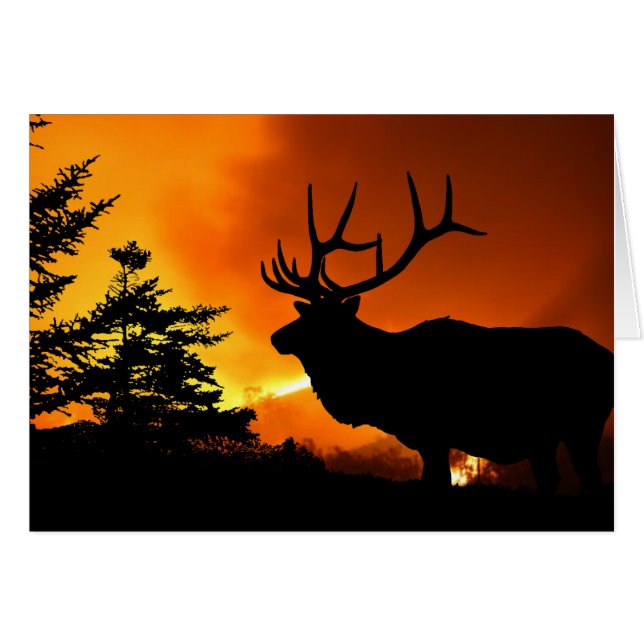 Elk (Anverso (Horizontal))