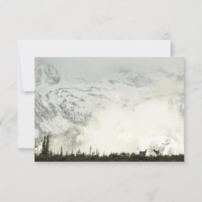 Elk en el Parque Nacional de Grand Teton (Anverso)