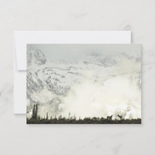 Elk en el Parque Nacional de Grand Teton