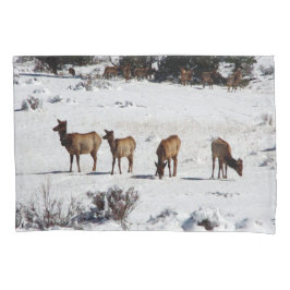 Elk en funda de almohada de nieve