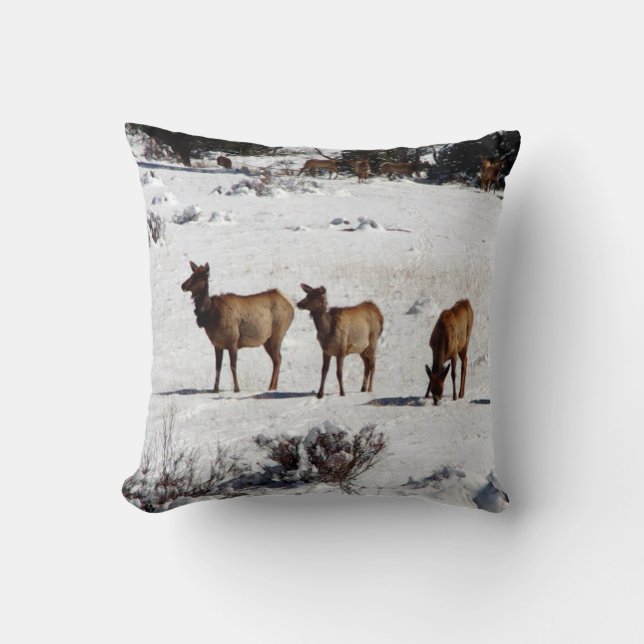 Elk en la almohada de nieve (Anverso)