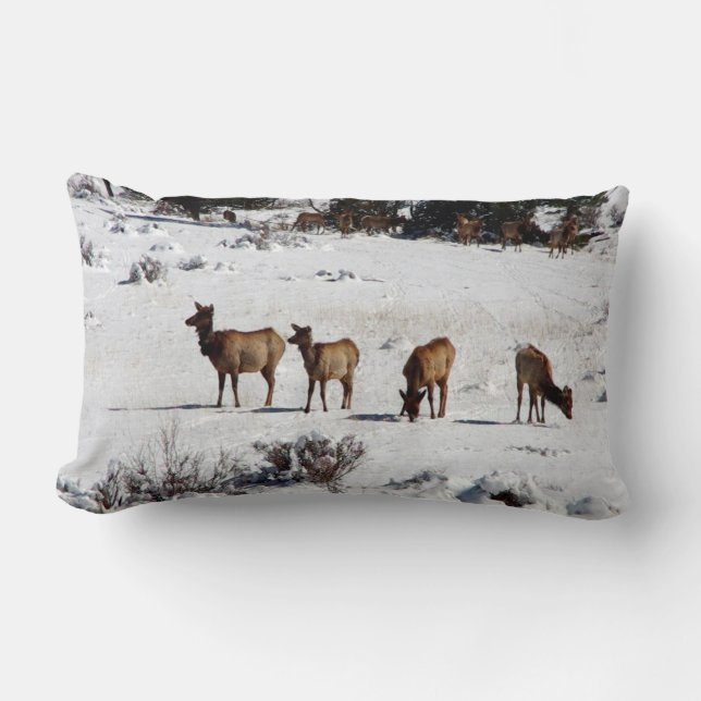 Elk en la almohada lumbar de nieve (Anverso)