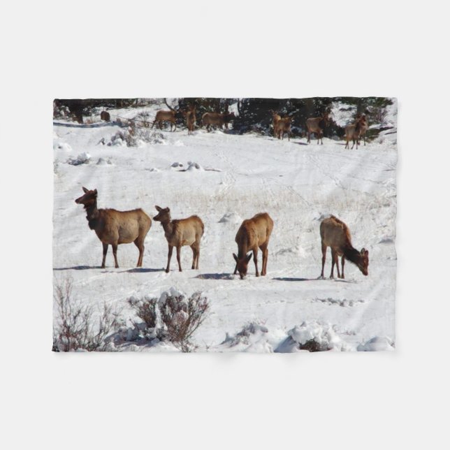 Elk en la manta de la nieve (Frente (Horizontal))