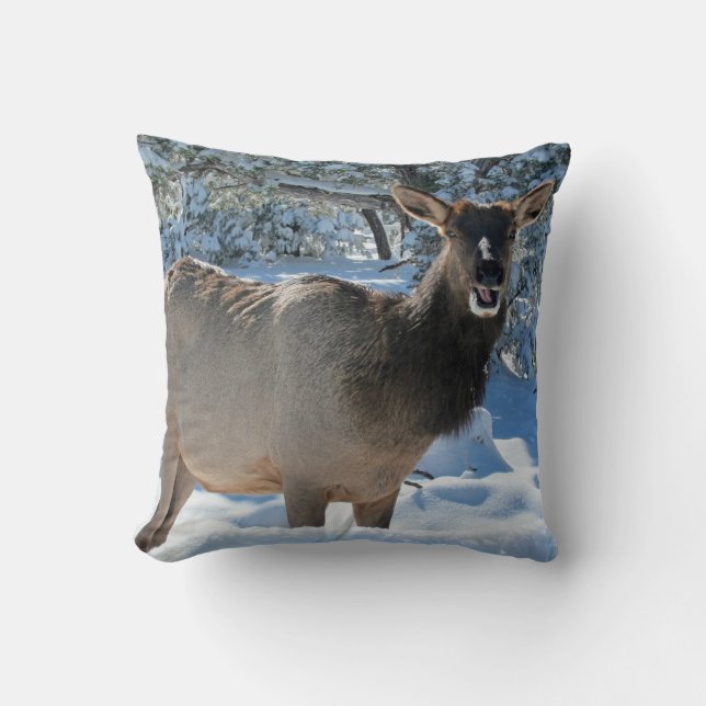 Elk en los Cojines decorativos de Nieve (Anverso)