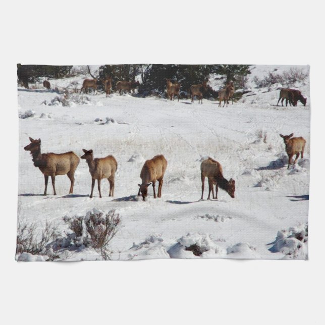 Elk en toalla de cocina de nieve (Horizontal)