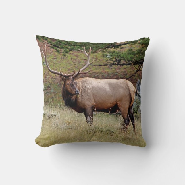 Elk en una almohada (Anverso)
