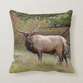 Elk en una almohada