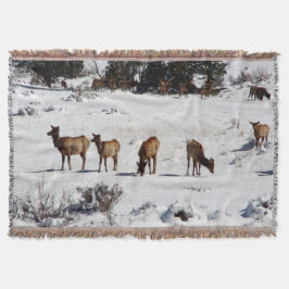 Elk en una manta de lanzamiento de nieve