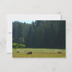 Elk Meadow en el parque nacional de Redwood
