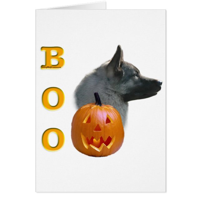 Elkhound Boo noruego (Frente)