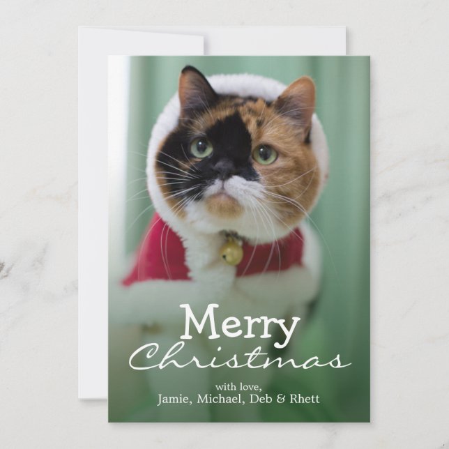 Ella está llevando un traje del navidad (Anverso)