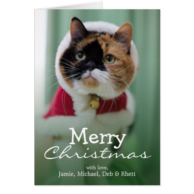 Ella lleva un traje de Navidades (Frente)