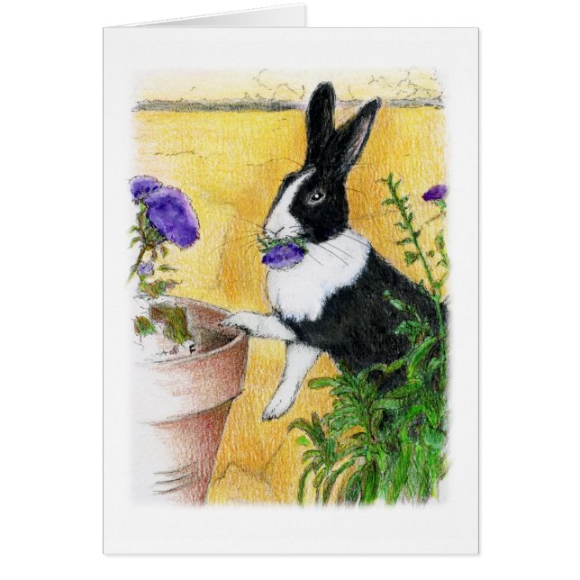 ELLA ME AMA (Frente)