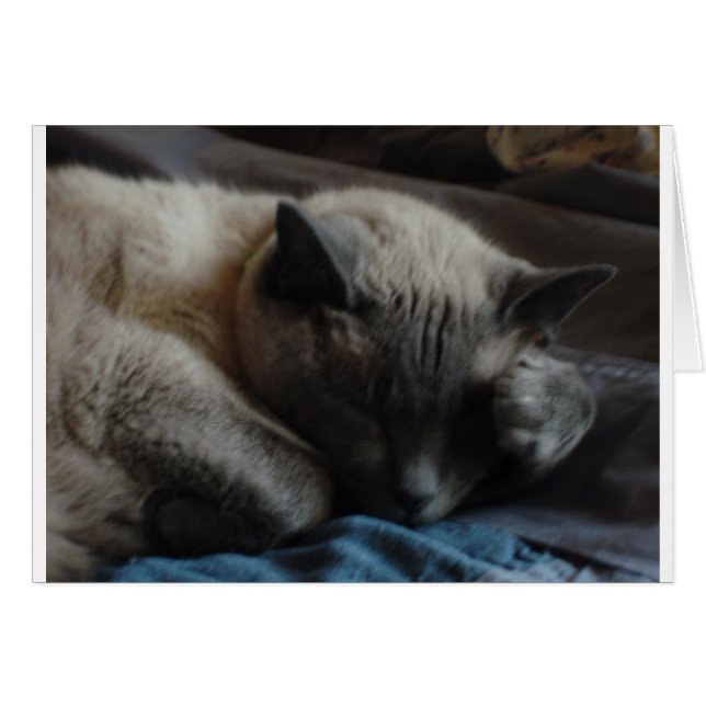 Elliott's Paw (Anverso (Horizontal))