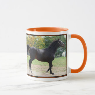 Elmhurst - ganador de Sprint de la taza de "97