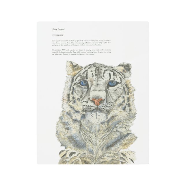 Elusivo arte de leopardo de la nieve pintada a man (Anverso)