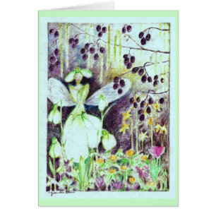 Elve "Galanthus " de Snowdrop