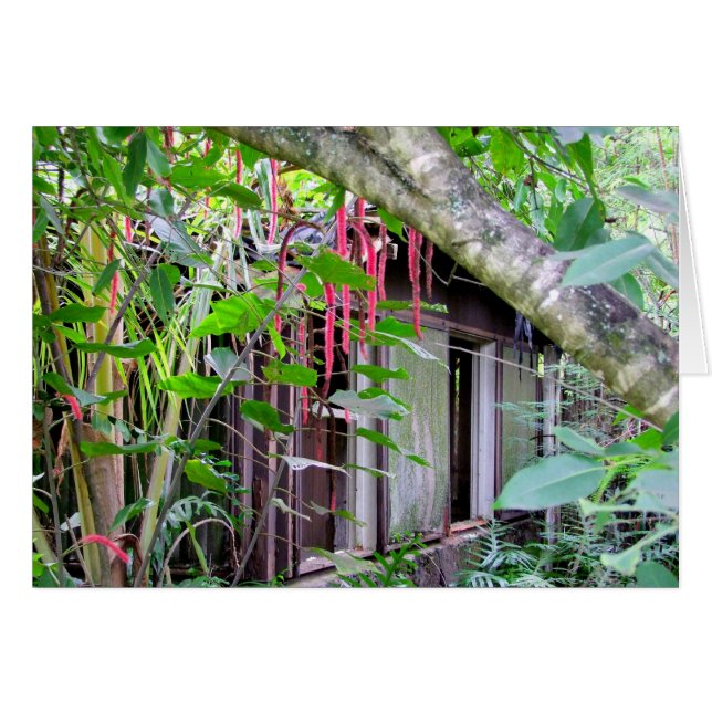 Elvis Presley Bungalow (Anverso (Horizontal))