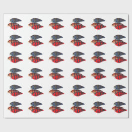 Embalaje De Papel Bass Pescador Crankbait